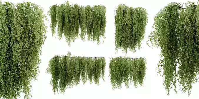 Collection plant vol 522 - blender model