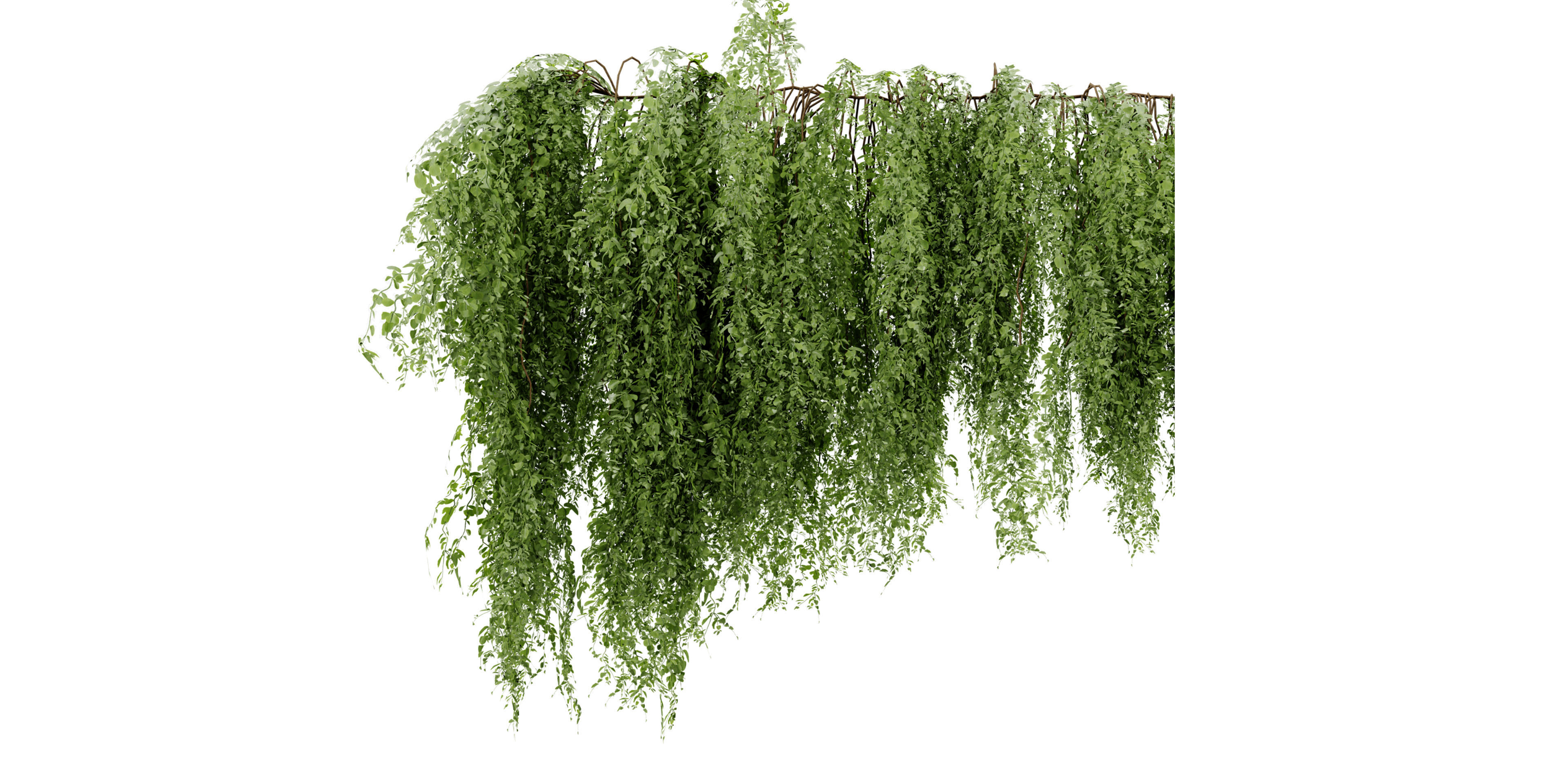 Collection plant vol 522 - blender model 3D model_4