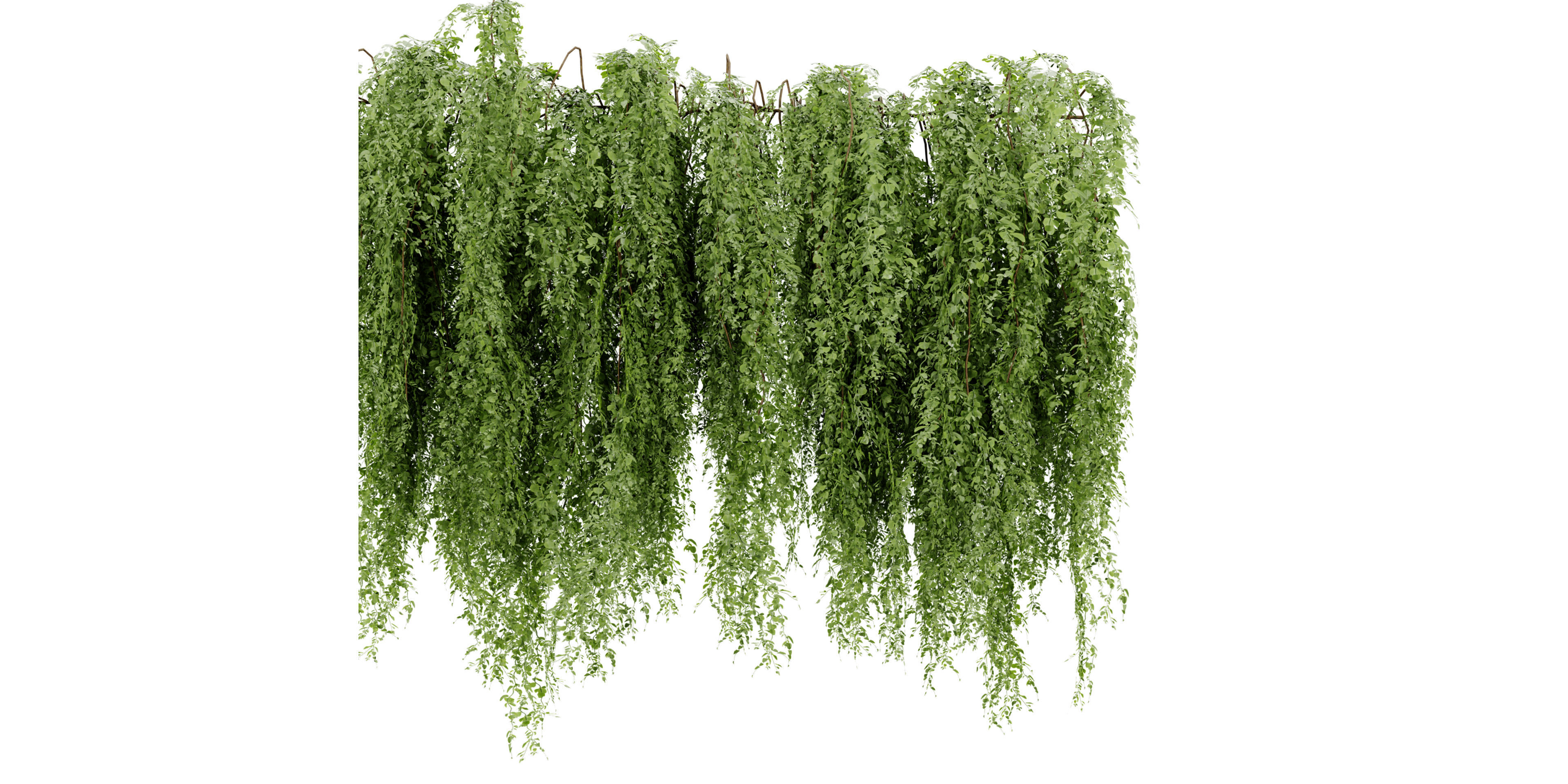 Collection plant vol 522 - blender model 3D model_2