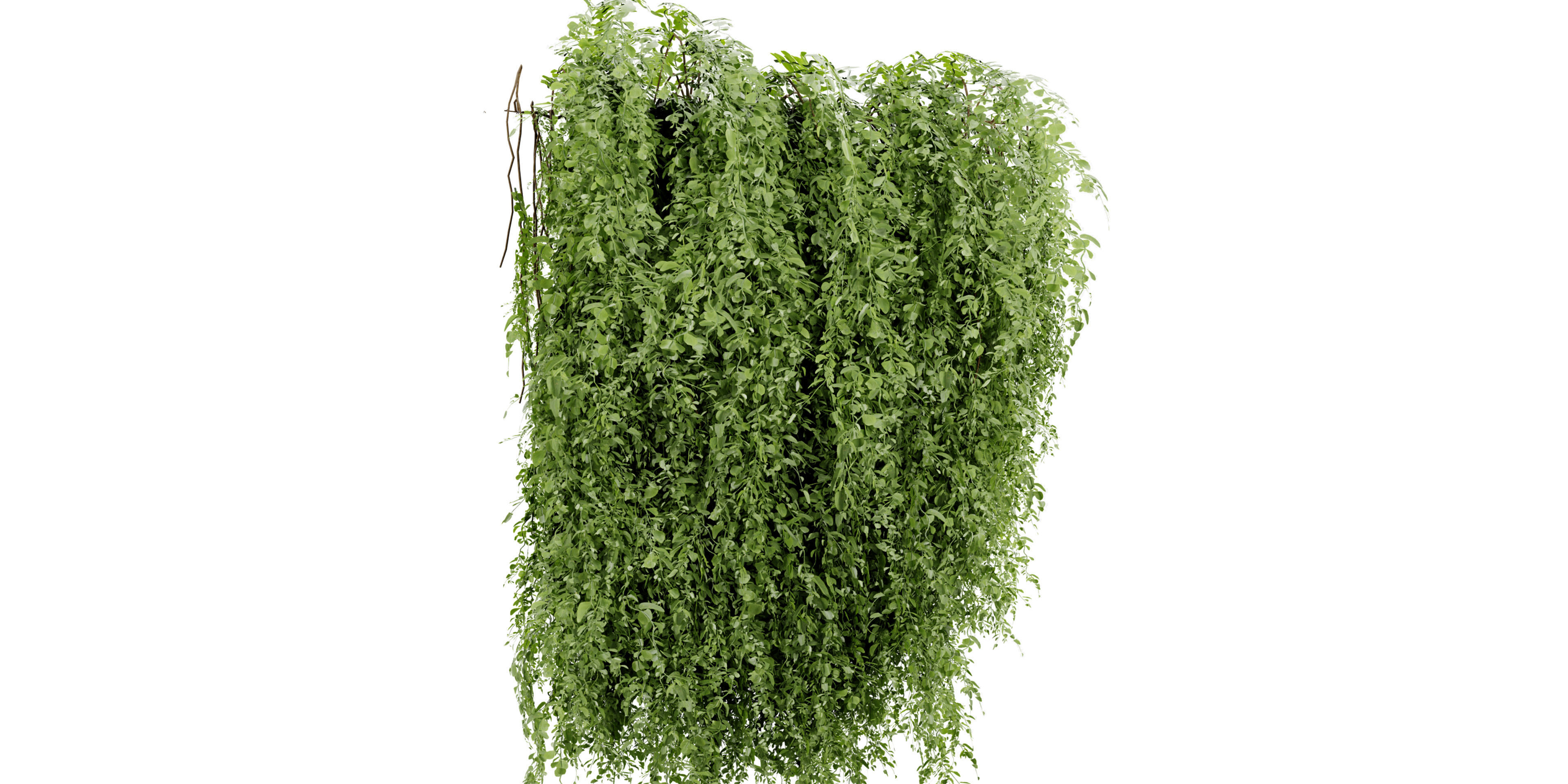 Collection plant vol 522 - blender model 3D model_3