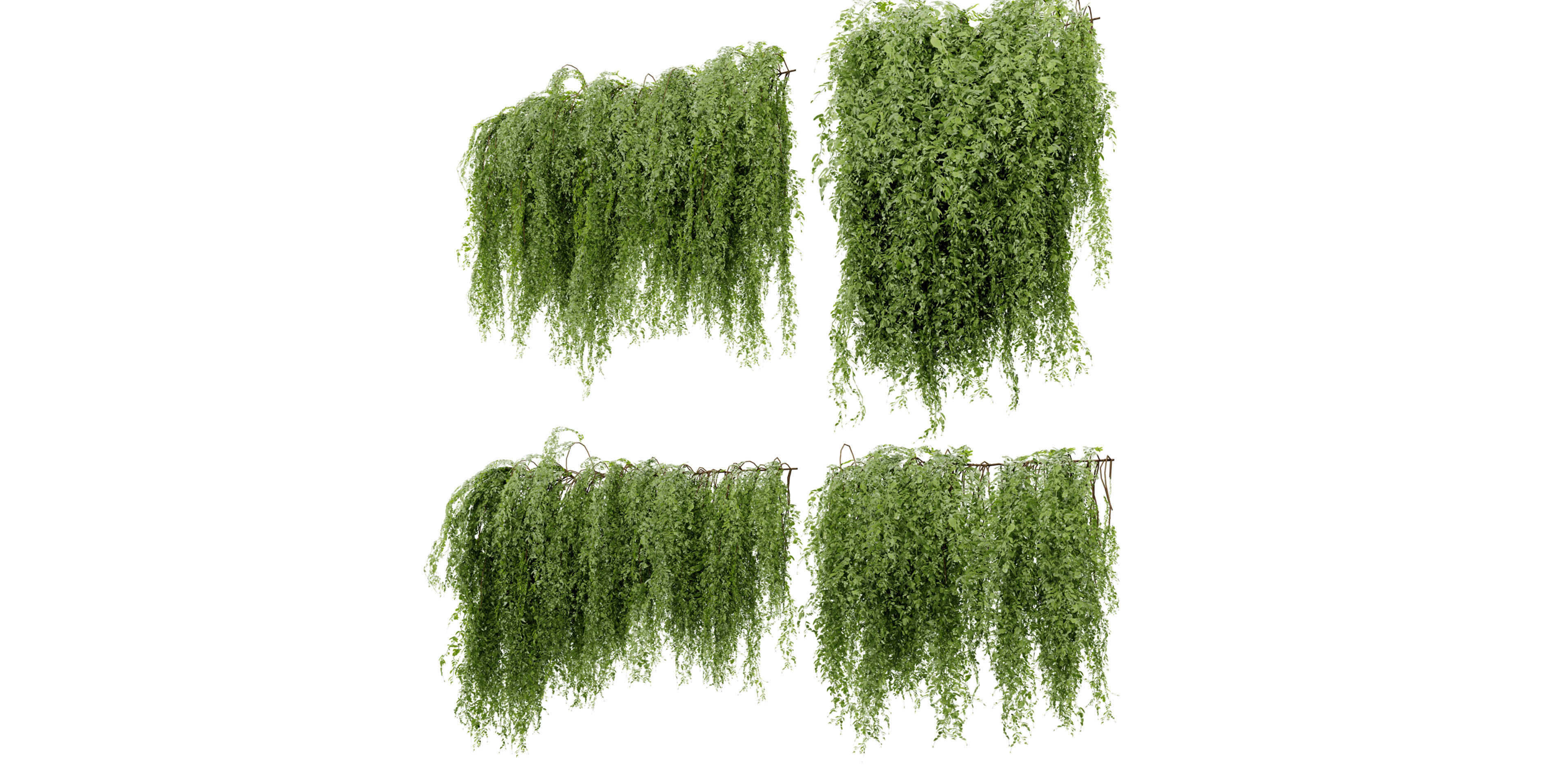 Collection plant vol 522 - blender model 3D model_5