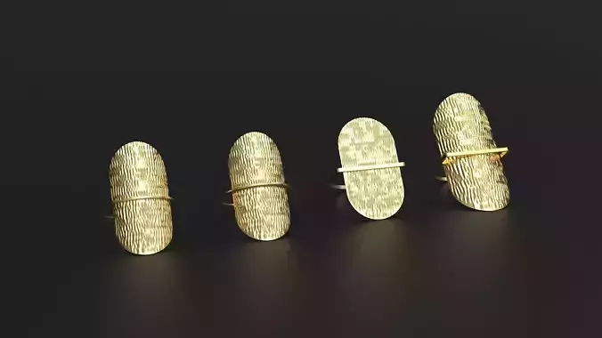 SANJ Ring 16 3D print model