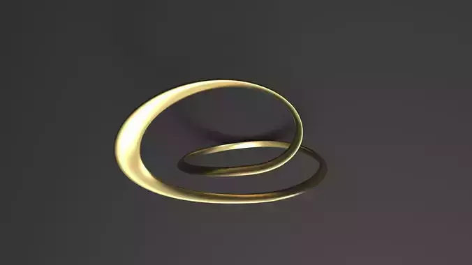 SANJ Ring 19 3D print model