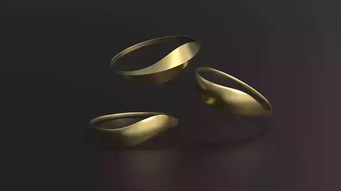 SANJ Ring 20 3D print model
