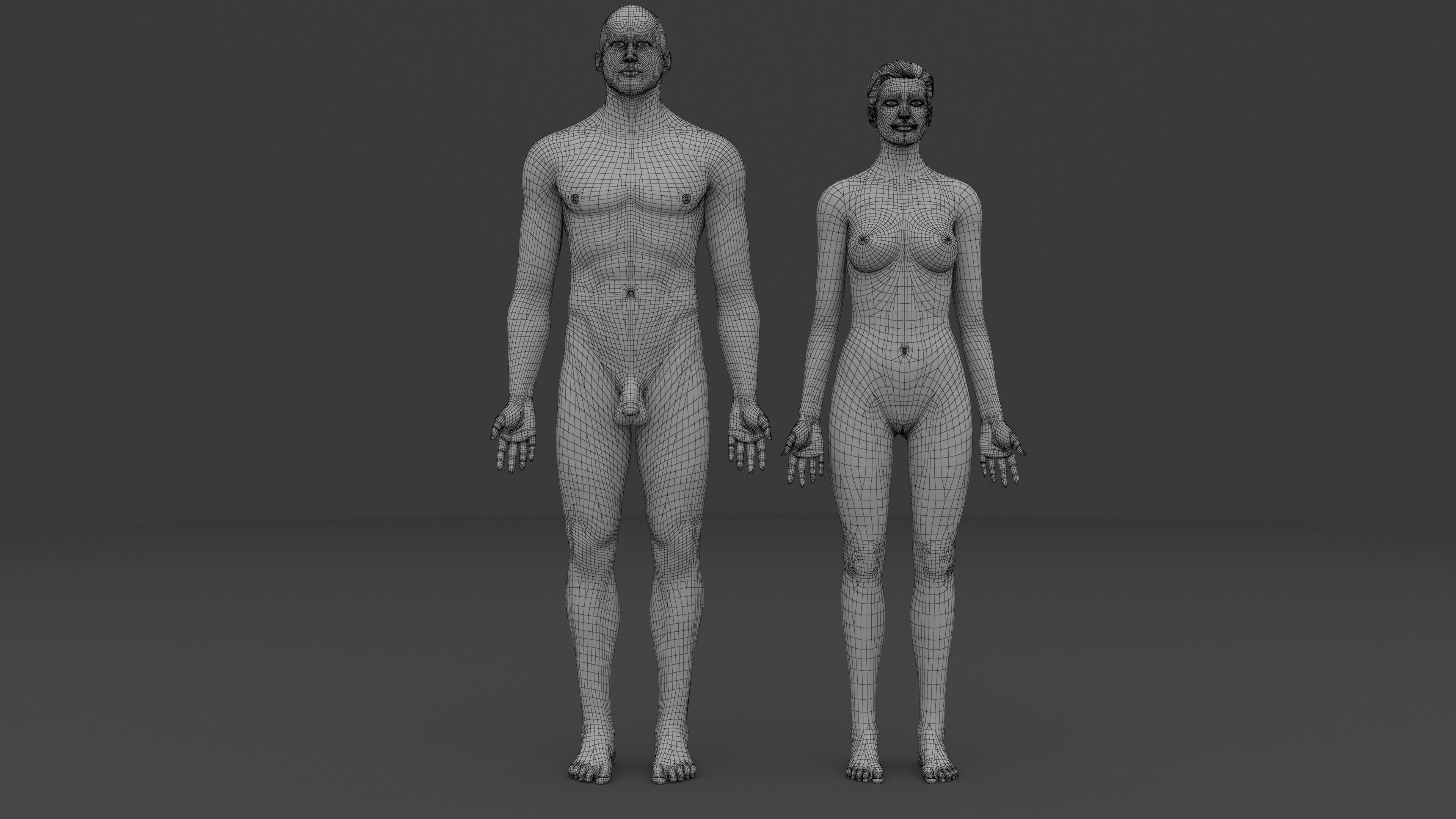 Ultimate Male and Female all anatomical system 3D model_4