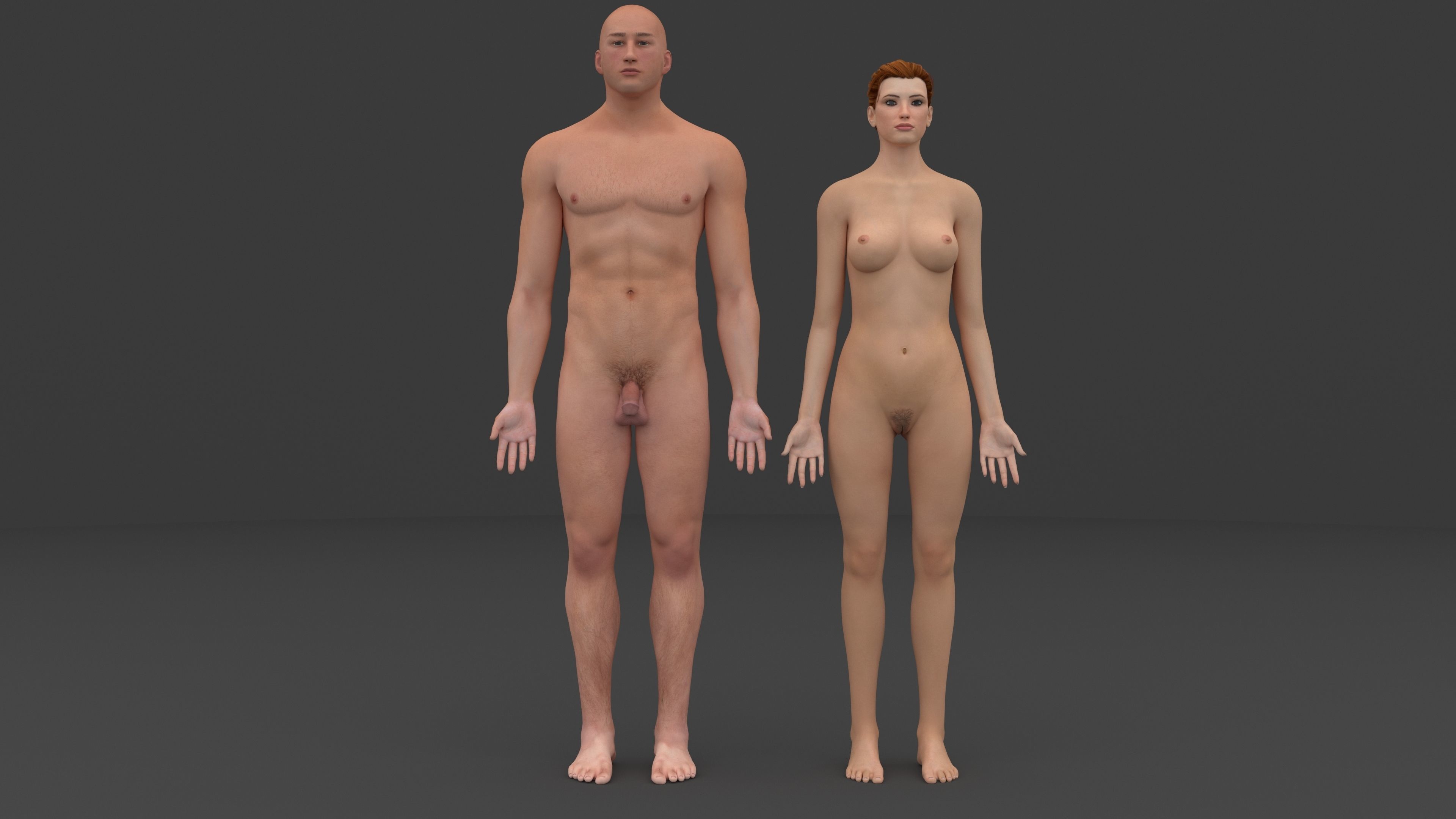 Ultimate Male and Female all anatomical system 3D model_3