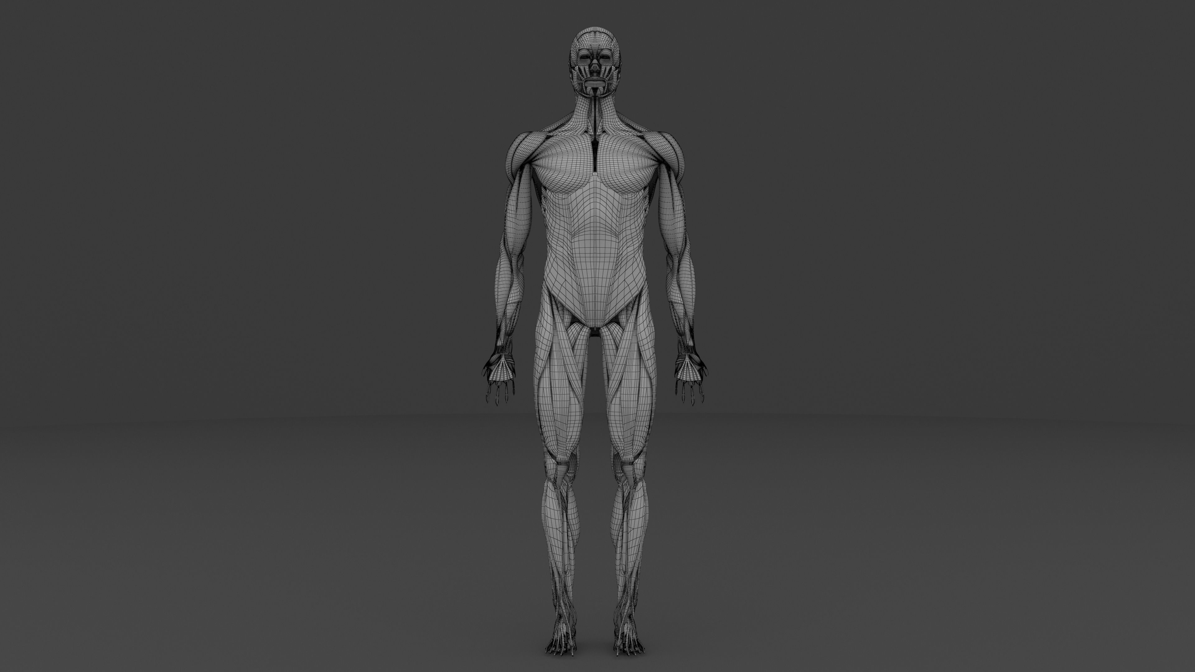 Ultimate Male and Female all anatomical system 3D model_32