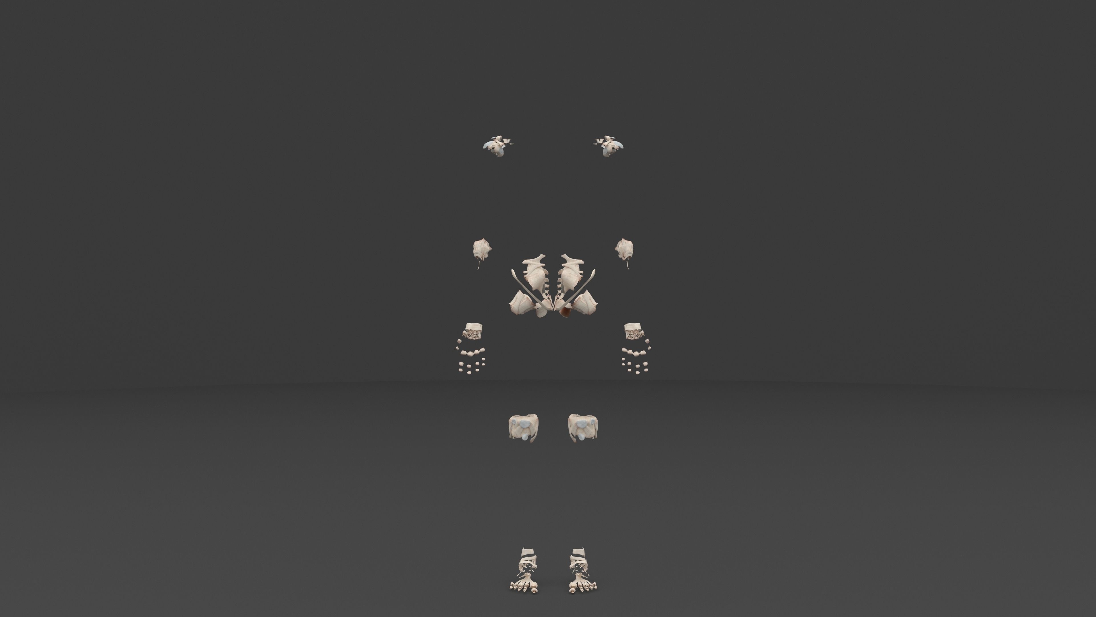 Ultimate Male and Female all anatomical system 3D model_14