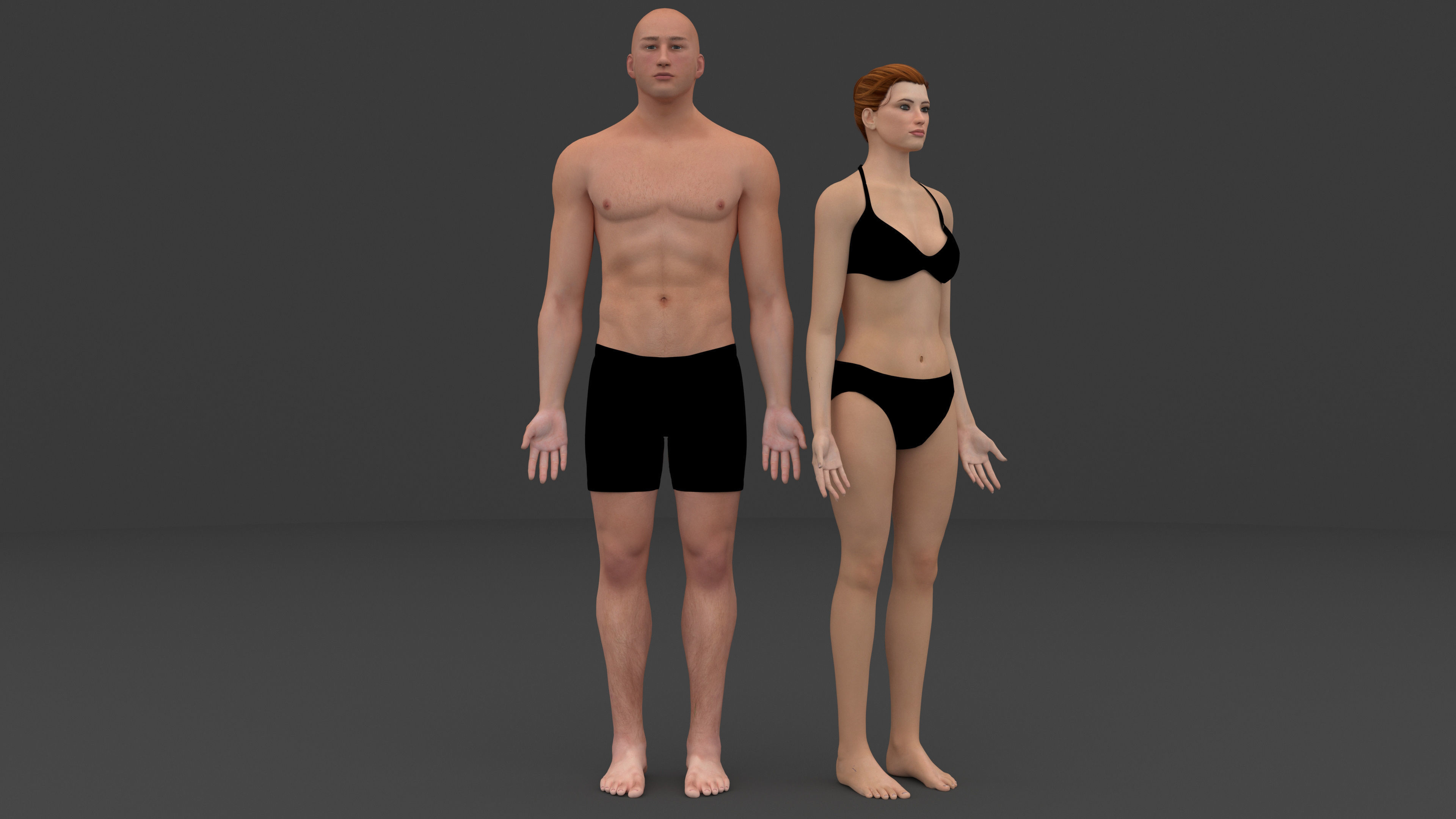 Ultimate Male and Female all anatomical system 3D model_1