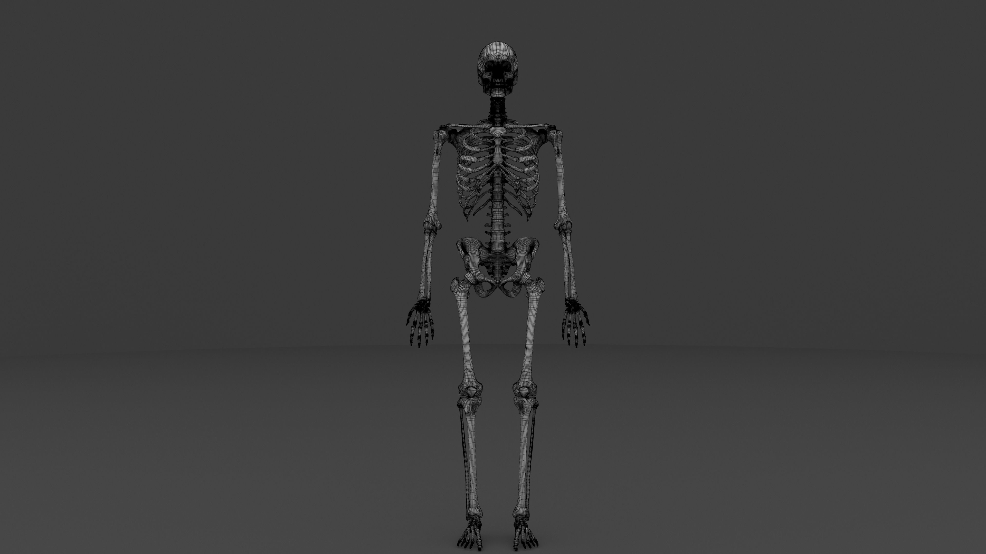 Ultimate Male and Female all anatomical system 3D model_9