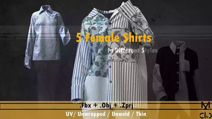 5 Models of Women shirt in Different Styles 3D model