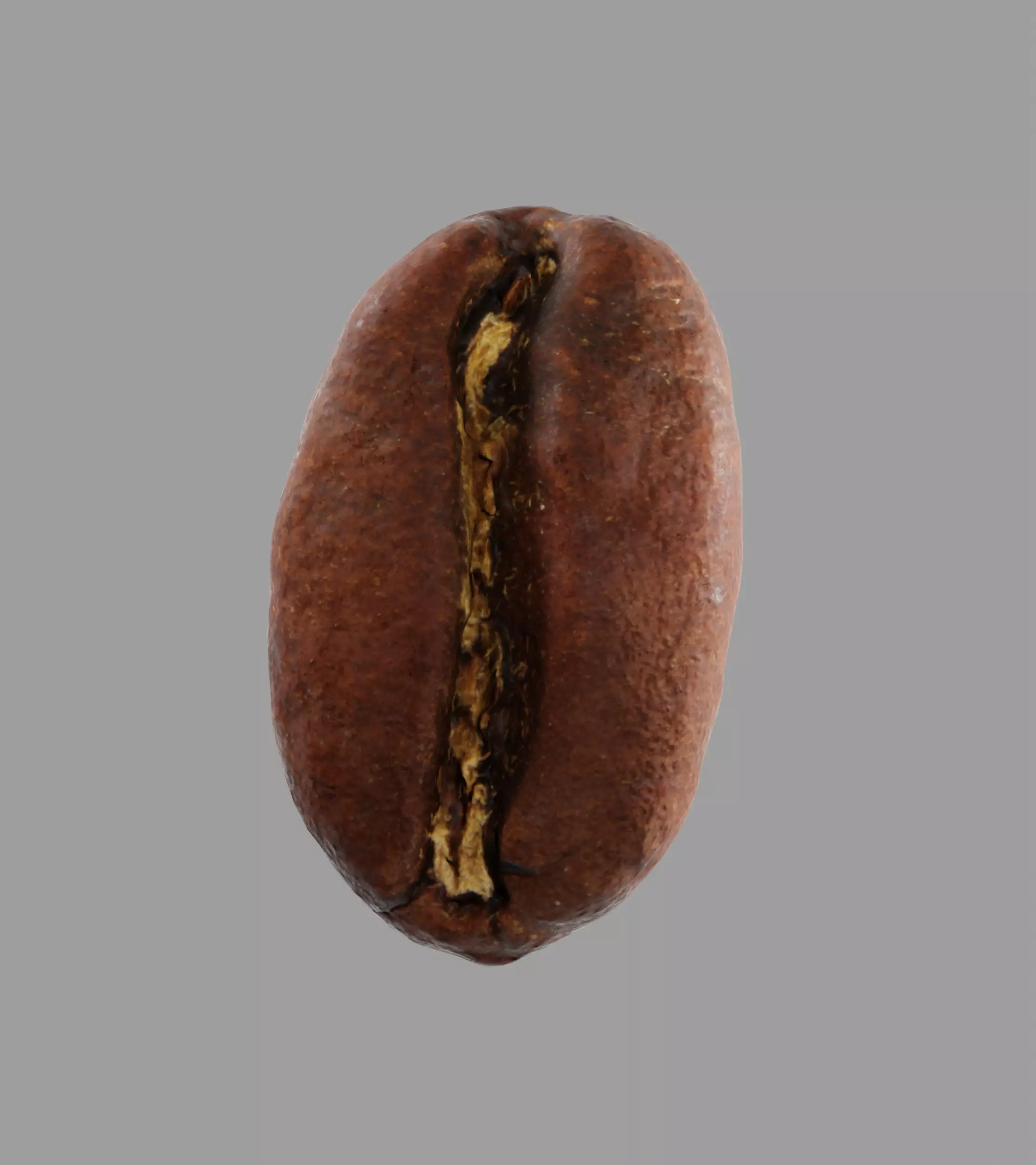 Coffee Bean 3D model