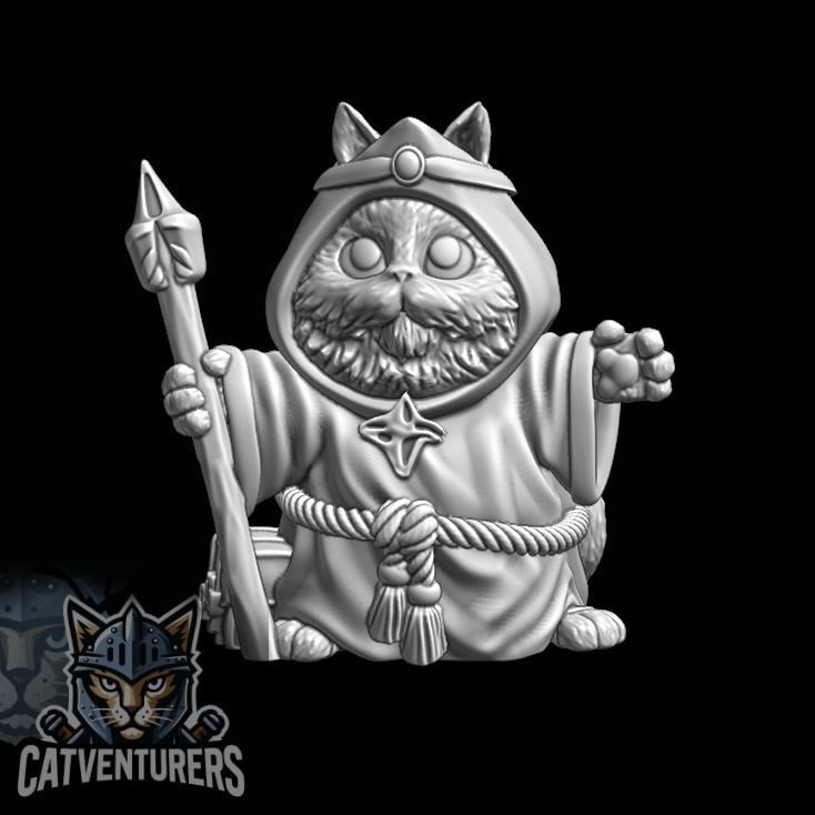 Pyxelis The Great - Master Wizard Cat 3D print model_3