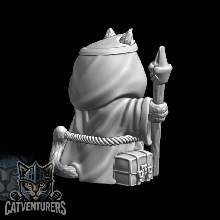 Pyxelis The Great - Master Wizard Cat 3D print model_7