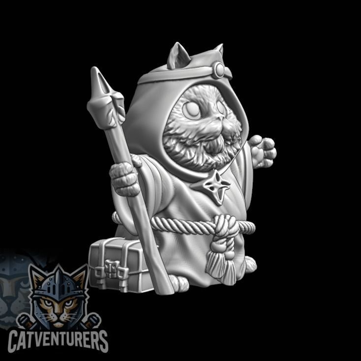 Pyxelis The Great - Master Wizard Cat 3D print model_4