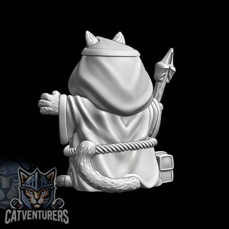 Pyxelis The Great - Master Wizard Cat 3D print model_6