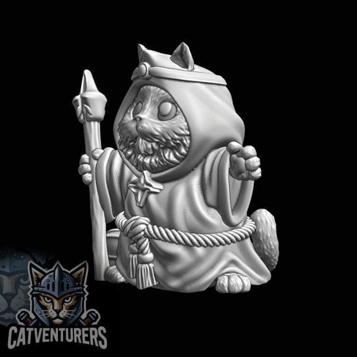 Pyxelis The Great - Master Wizard Cat 3D print model_5
