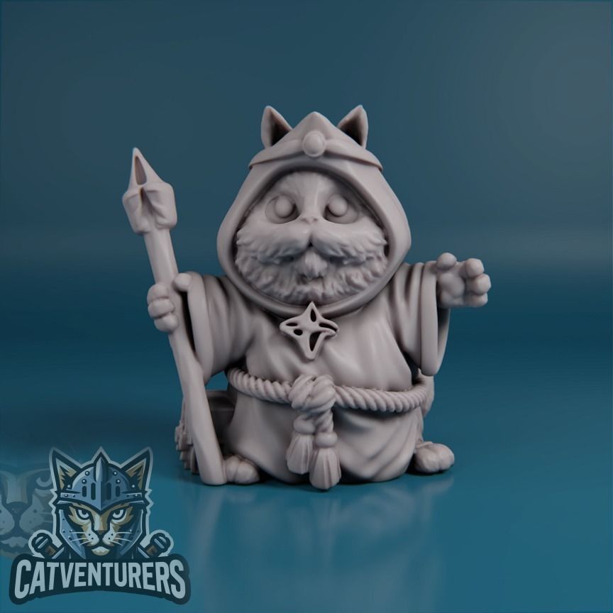 Pyxelis The Great - Master Wizard Cat 3D print model_1