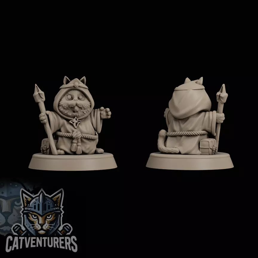 Pyxelis The Great - Master Wizard Cat 3D print model_0