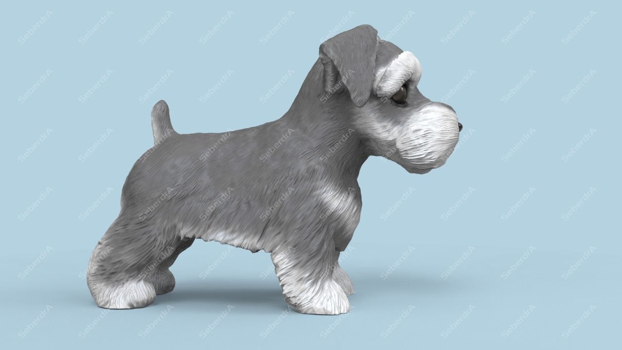 Cute Puppy Schnauzer STL and VRML 3D print model_3