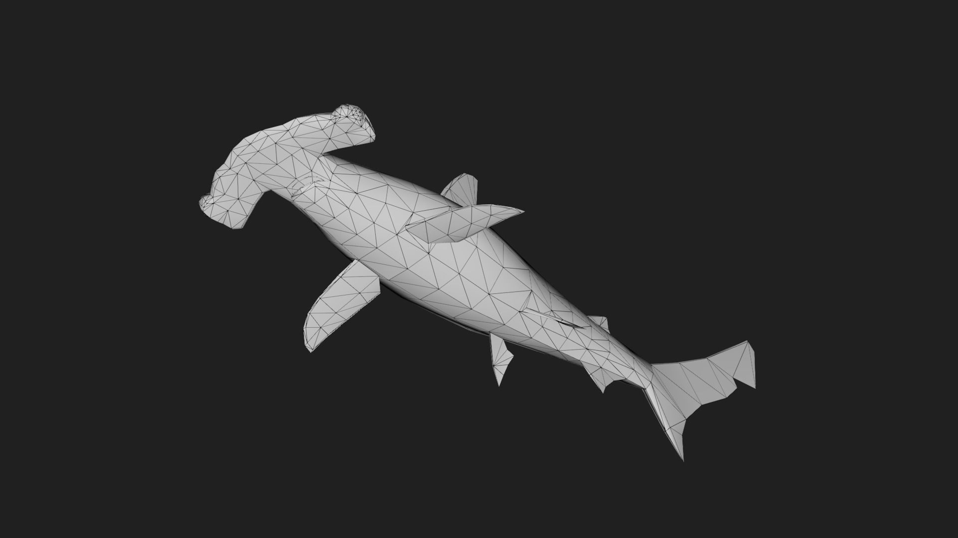 Shark Low-poly 3D model_3