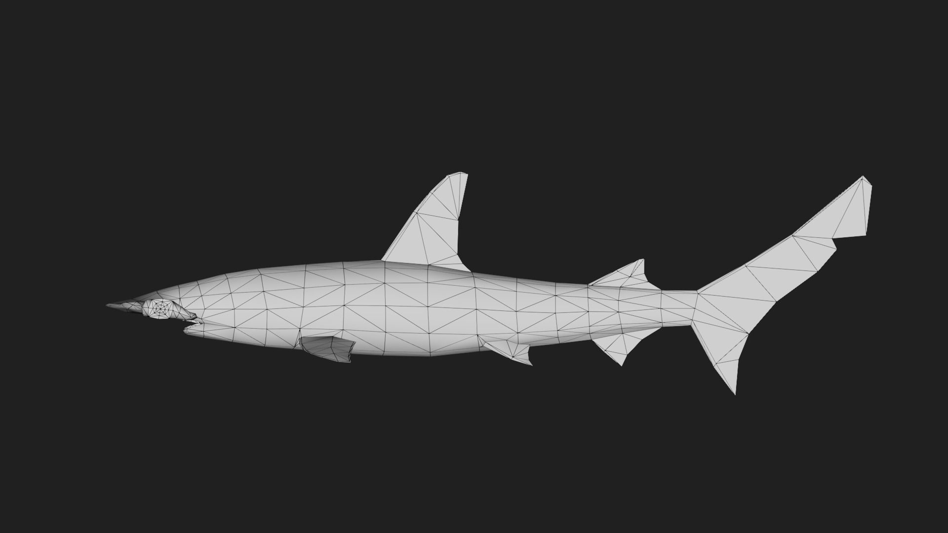 Shark Low-poly 3D model_1
