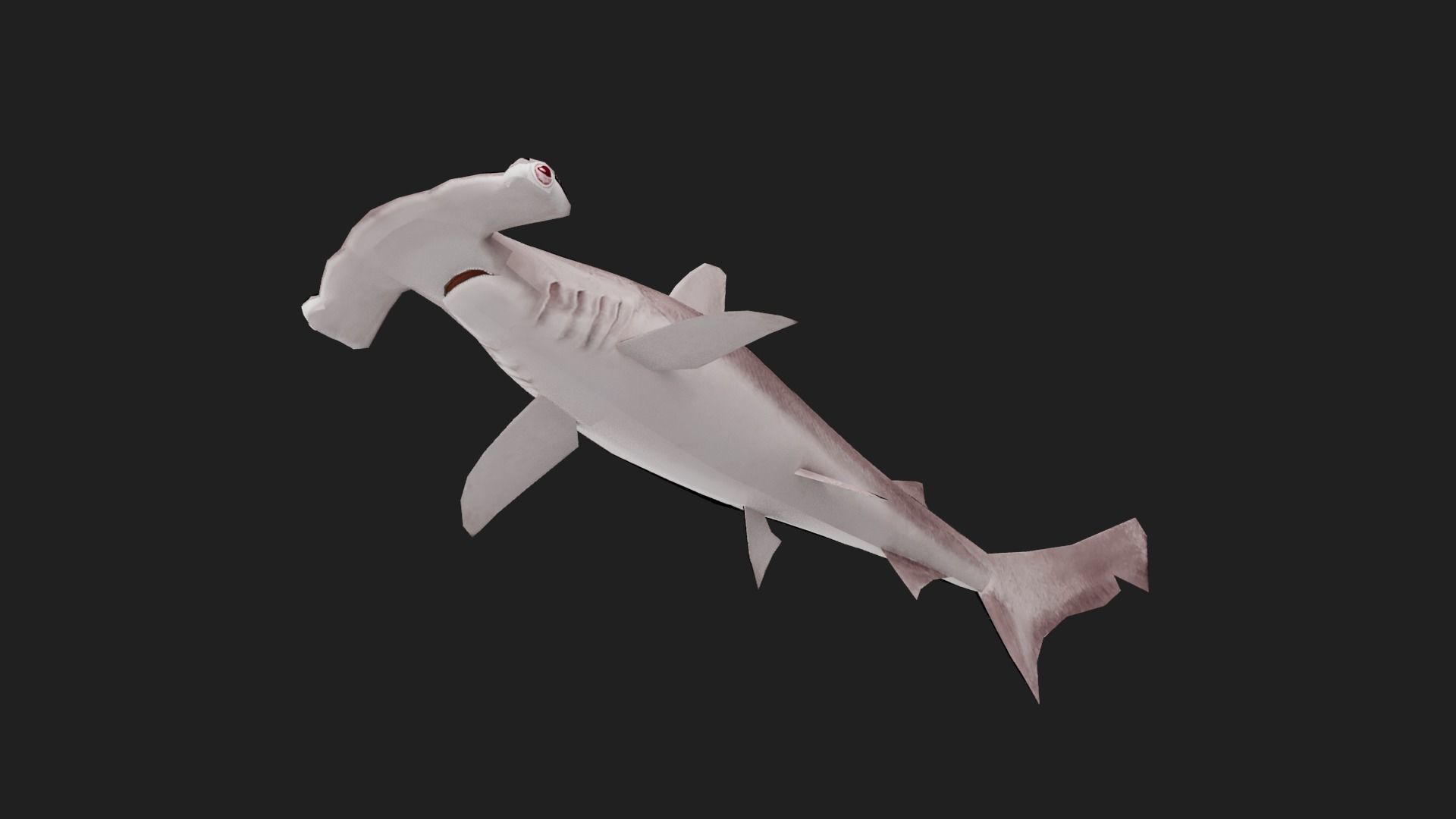 Shark Low-poly 3D model_2