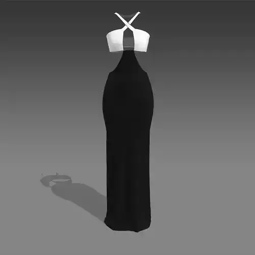 Dress black and white color block modern look