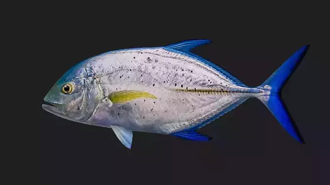 Trevally