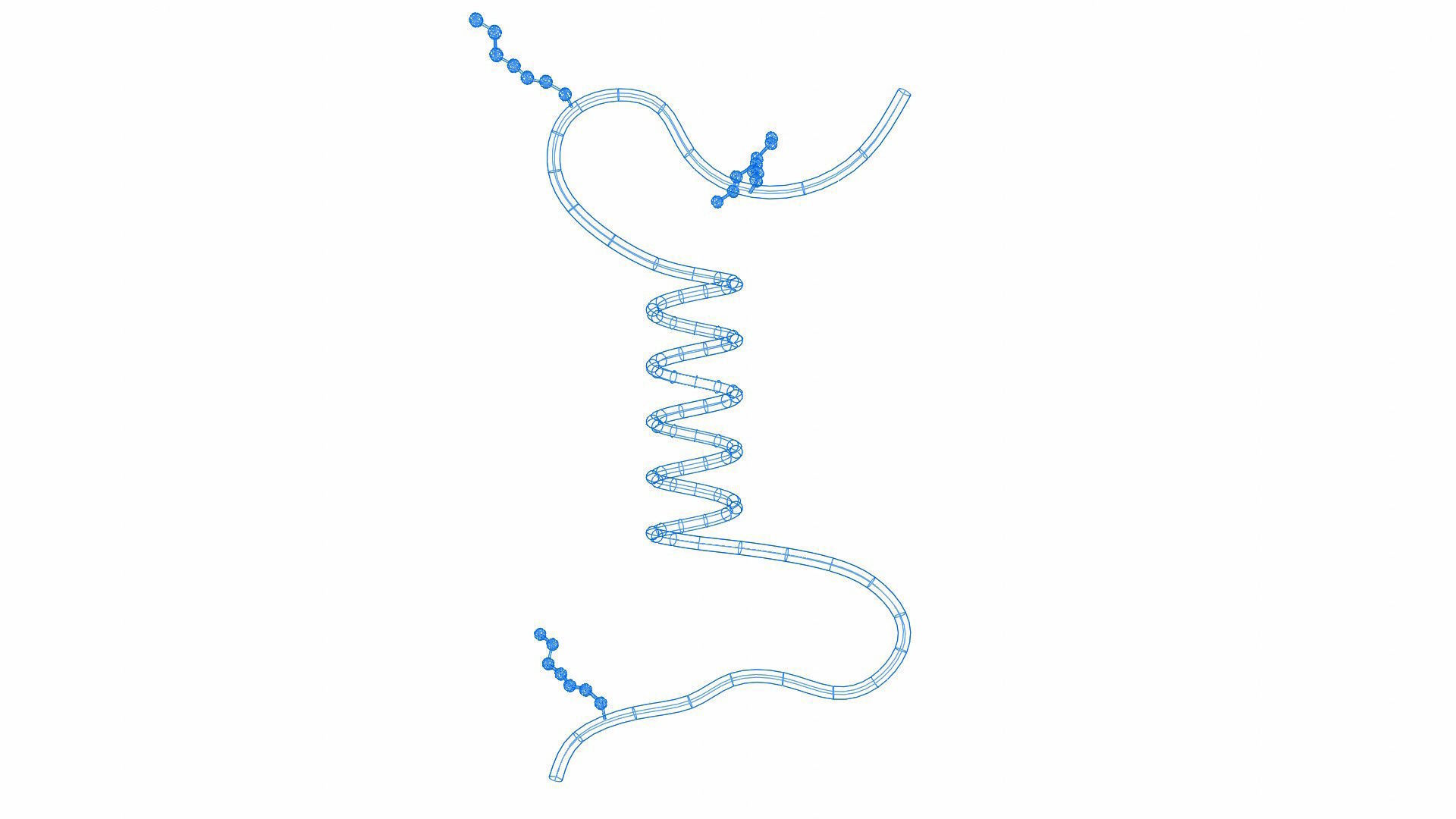 Cell membrane diagram 3D model animated | CGTrader