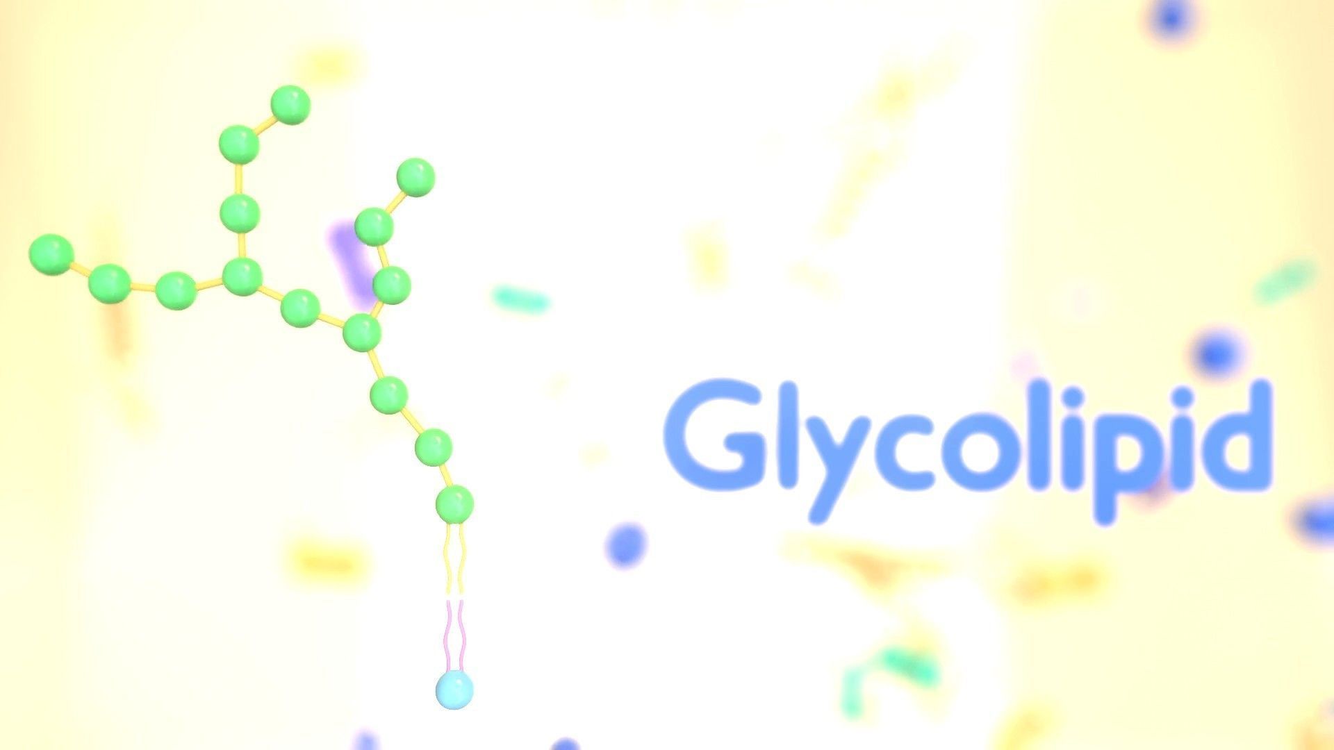 Cell membrane diagram 3D model animated | CGTrader