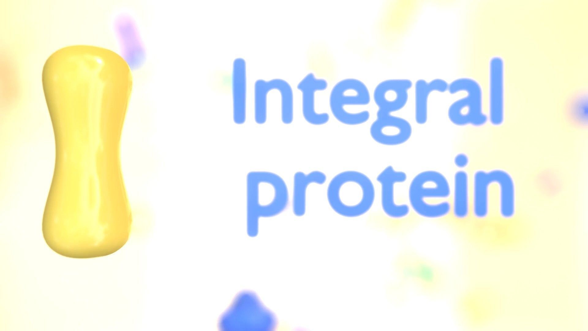 Cell membrane diagram 3D model animated | CGTrader