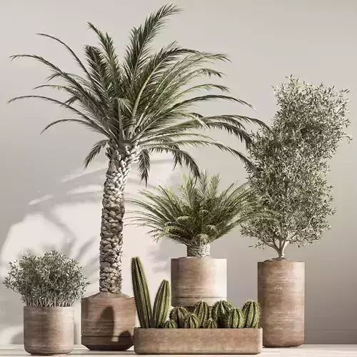 indoor plant set 41
