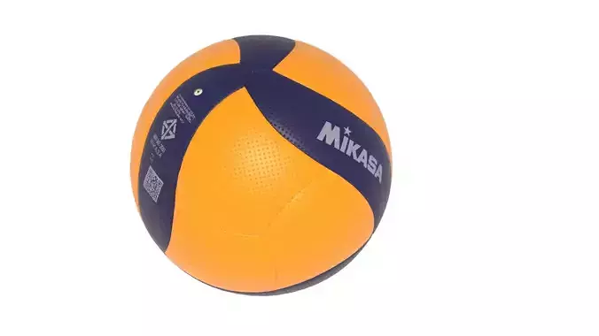 Mikasa volleball ball v200w