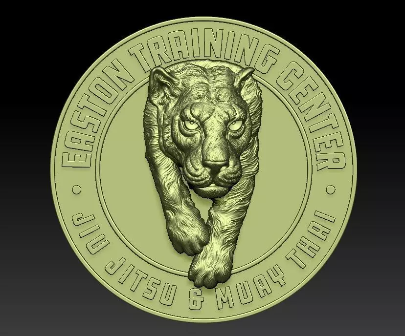 Easton Traning Center Medal 3D print model