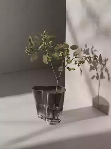 Aer Vase with Plant 3D model