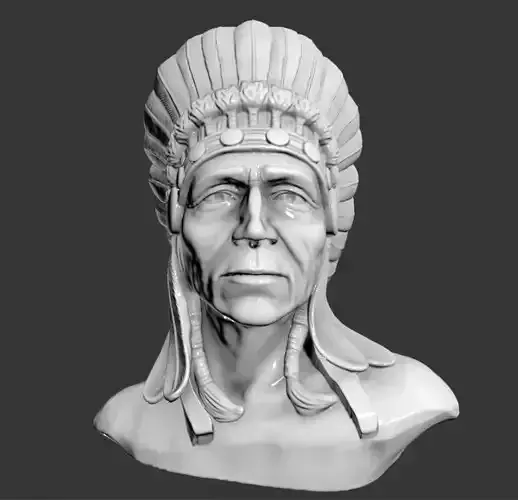 NATIVE AMERICAN PROUD