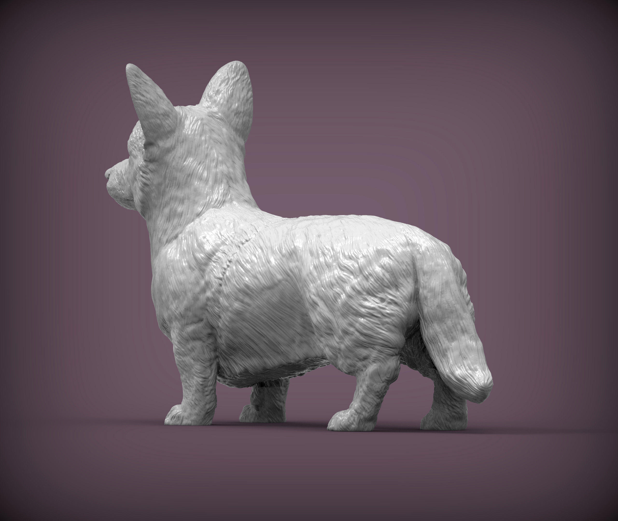 Cardigan Corgi 3D print model_4