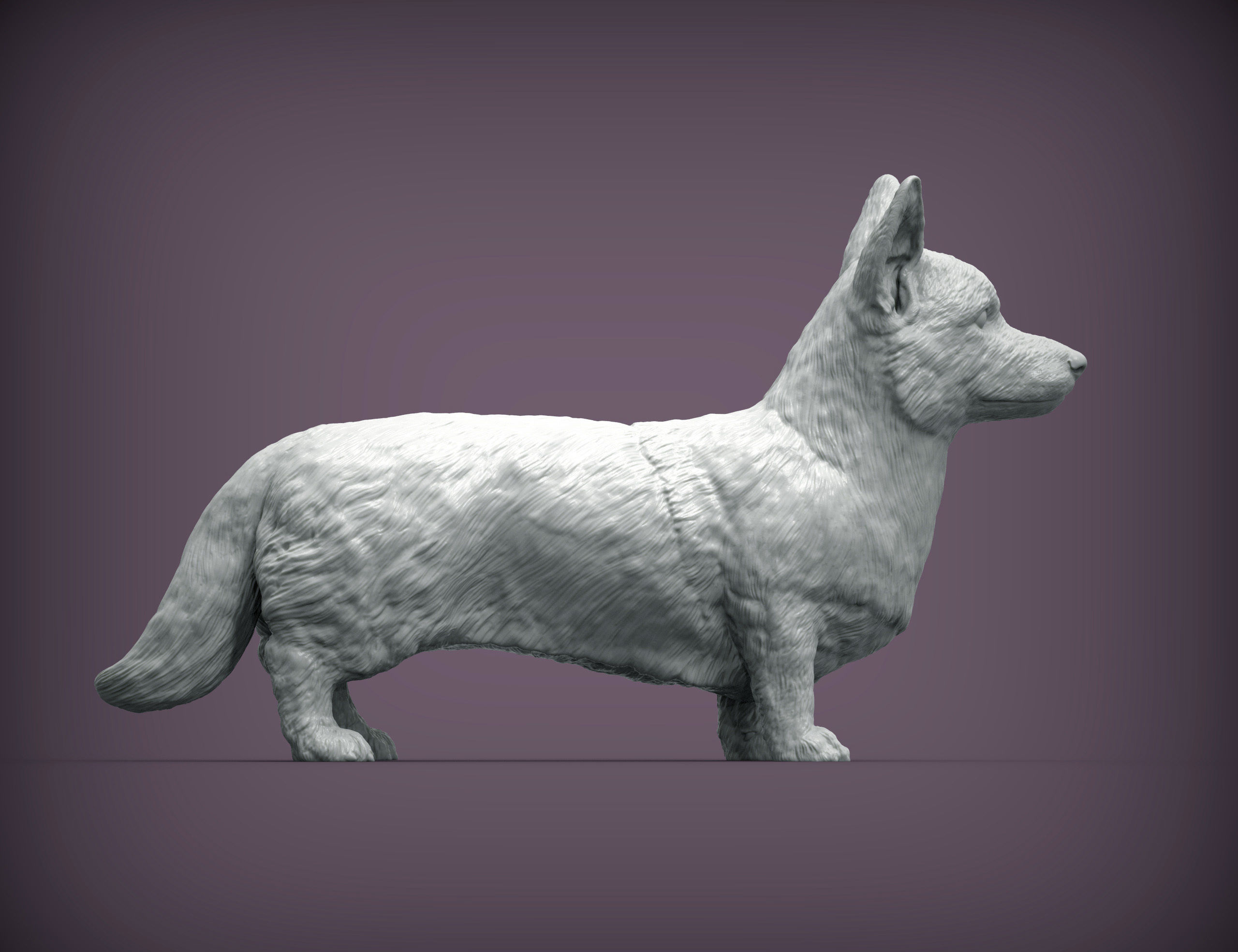 Cardigan Corgi 3D print model_2