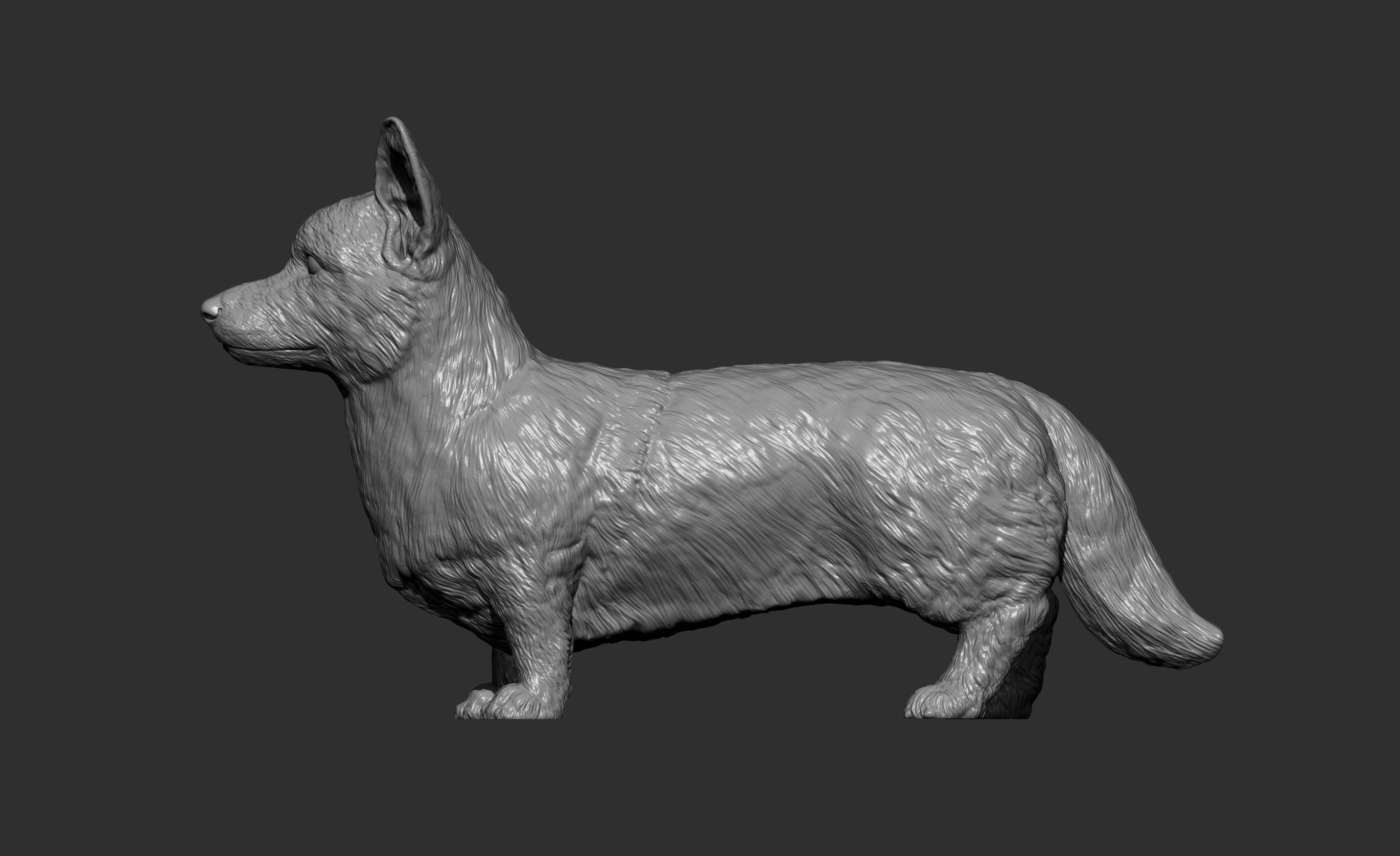Cardigan Corgi 3D print model_5