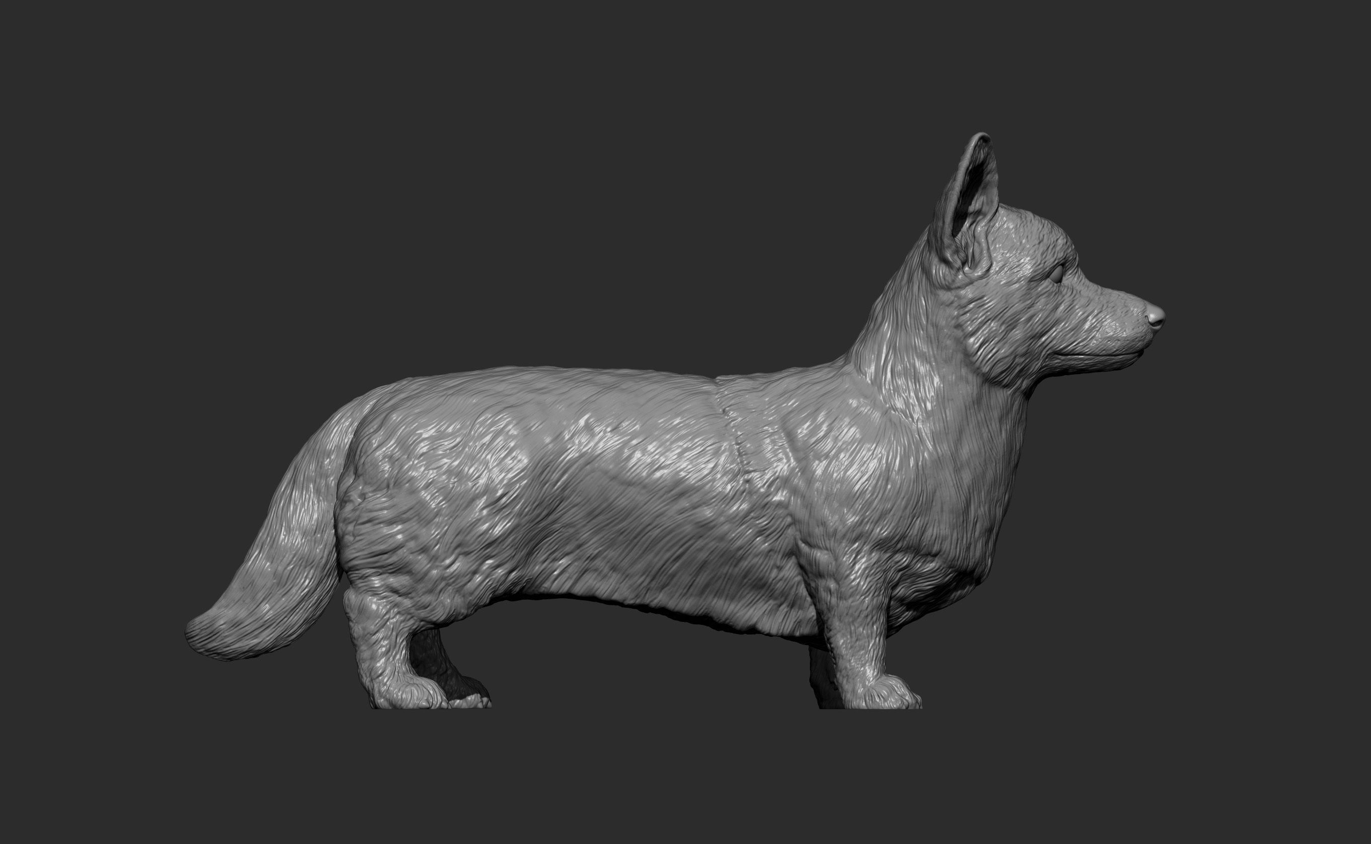 Cardigan Corgi 3D print model_10