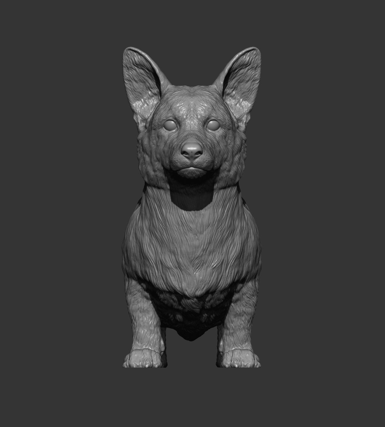 Cardigan Corgi 3D print model_6