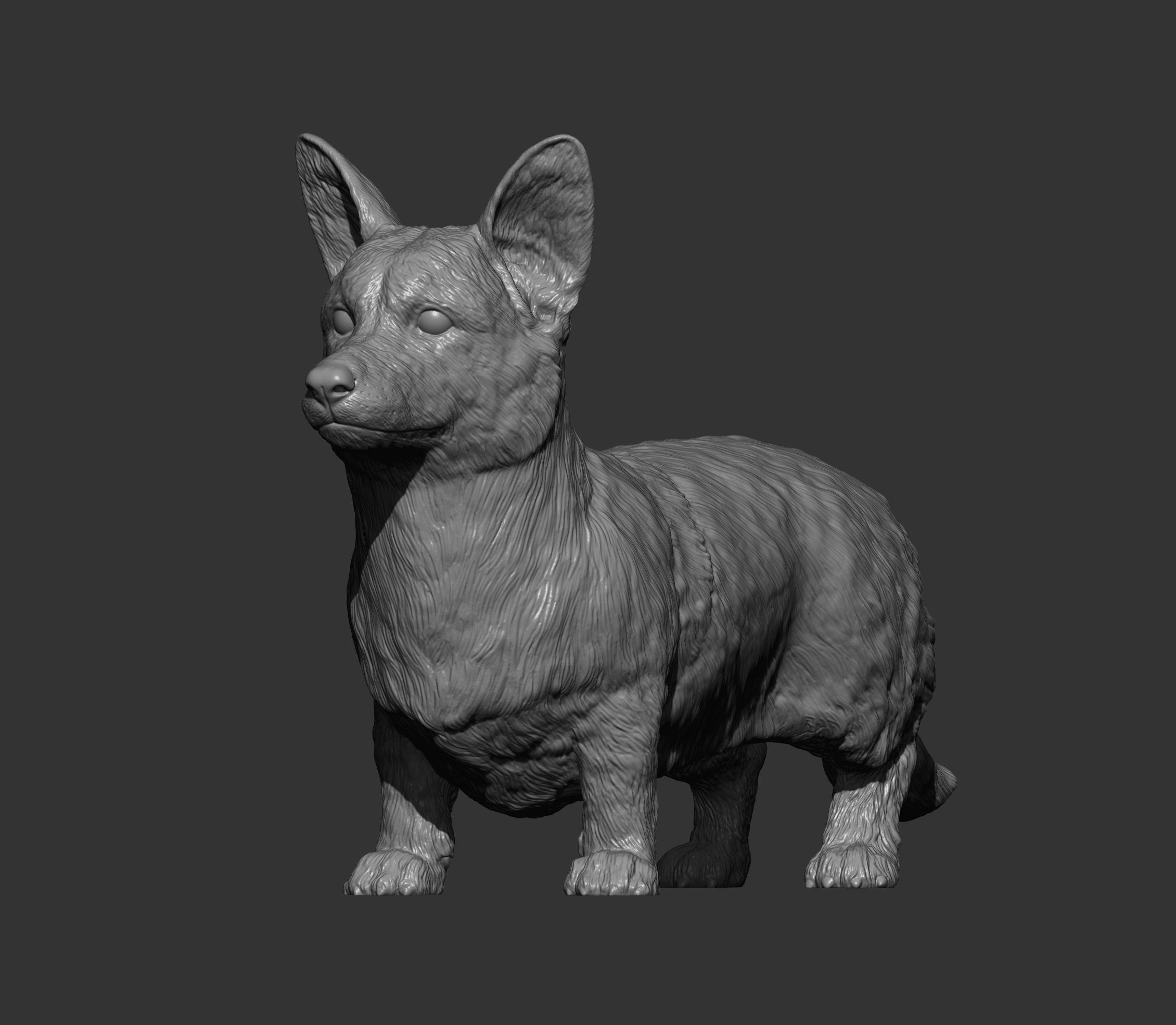 Cardigan Corgi 3D print model_12
