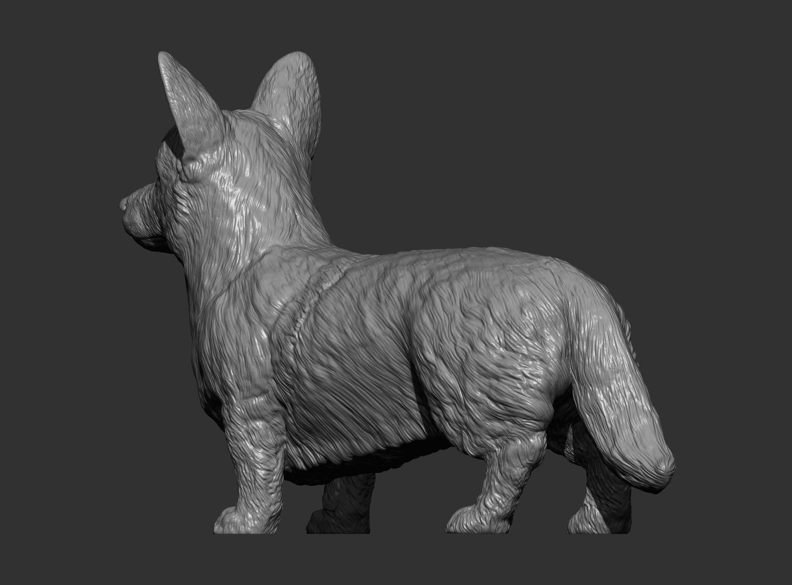 Cardigan Corgi 3D print model_11