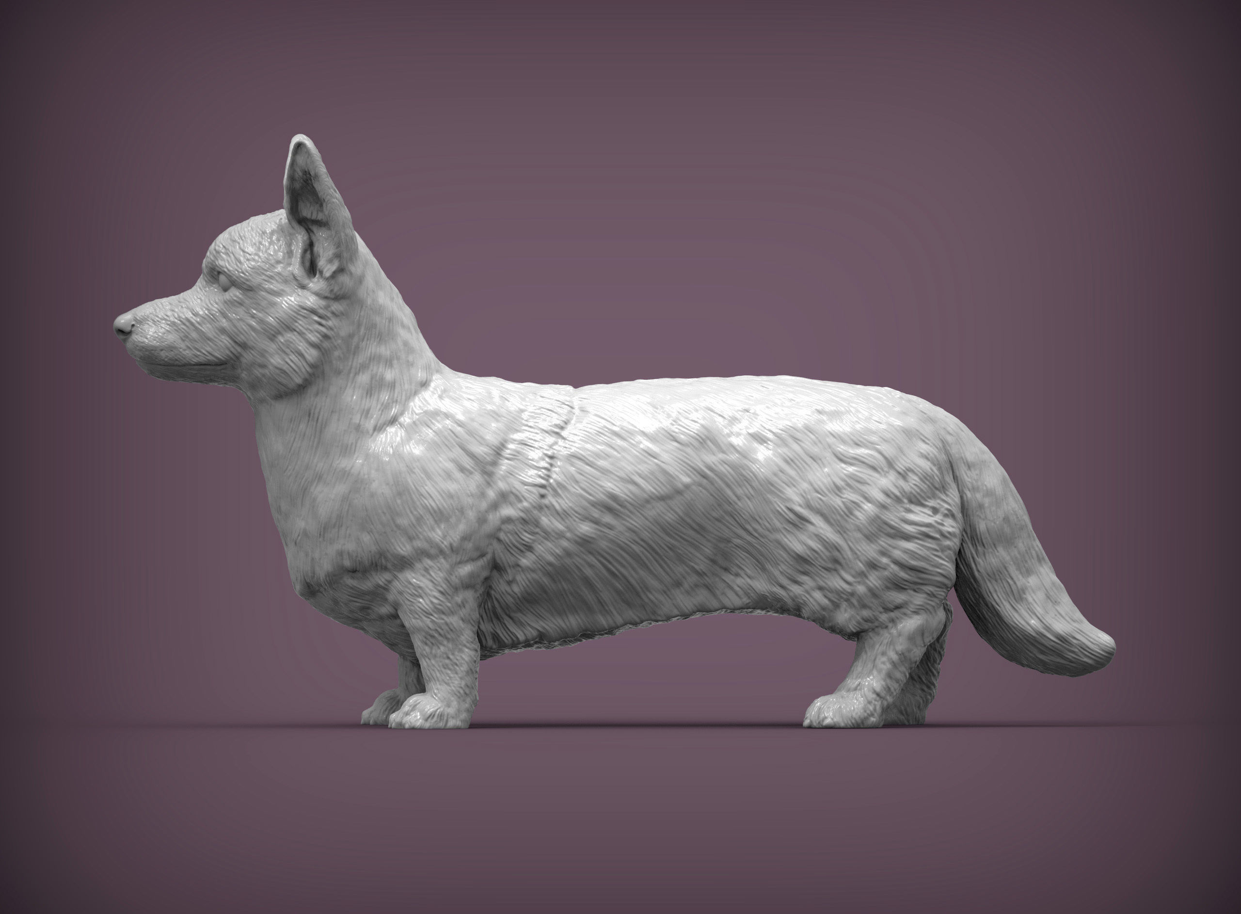 Cardigan Corgi 3D print model_3