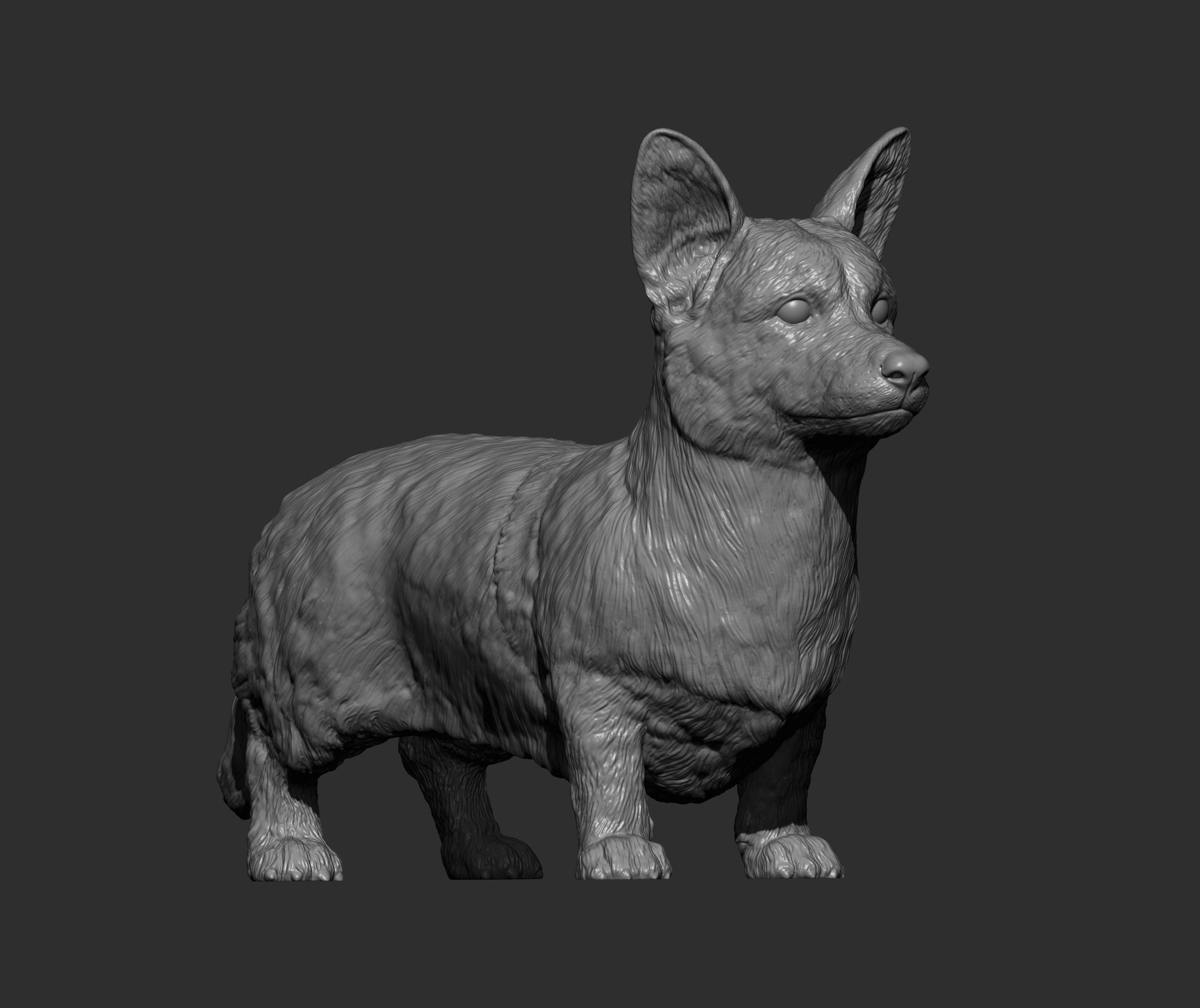 Cardigan Corgi 3D print model_9