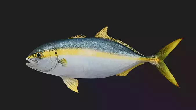 Trevally
