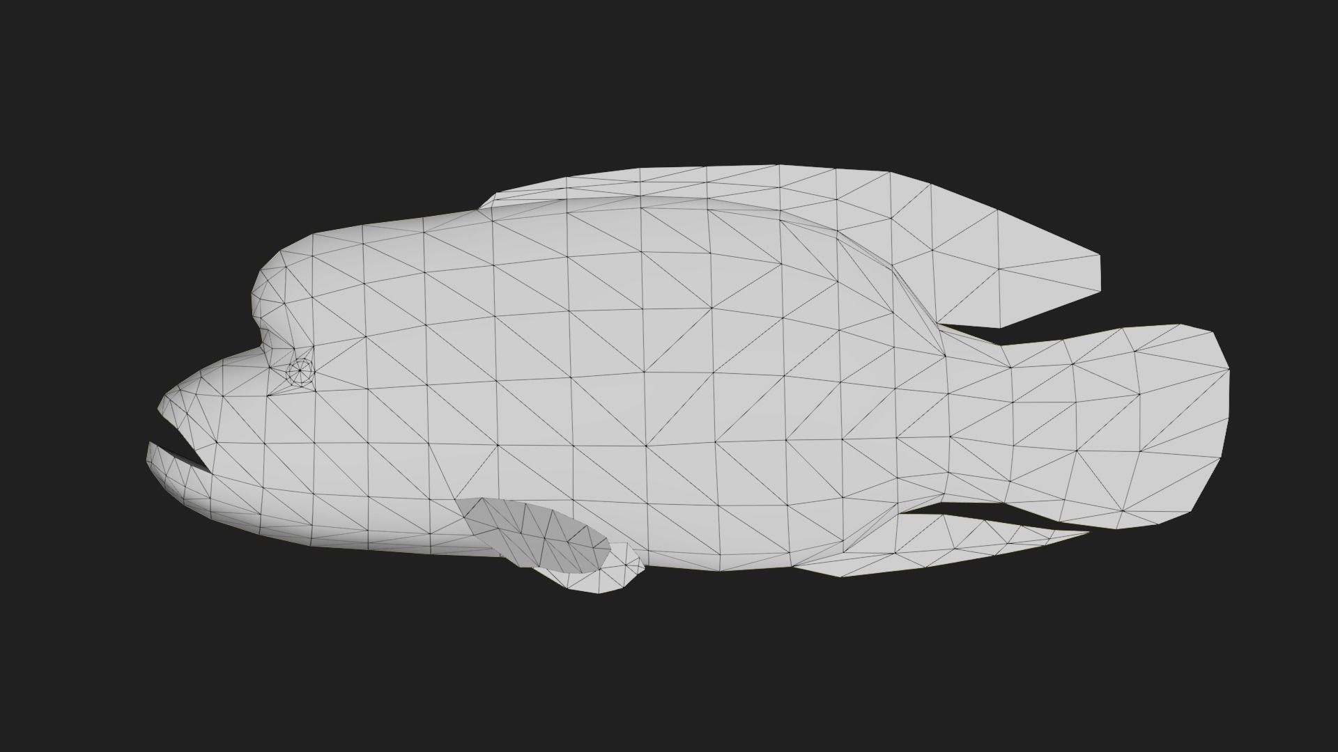 Wrasse Low-poly 3D model_1