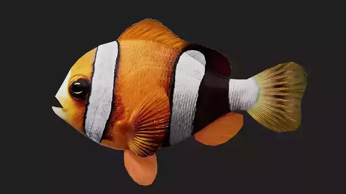 Clownfish Low-poly 3D model