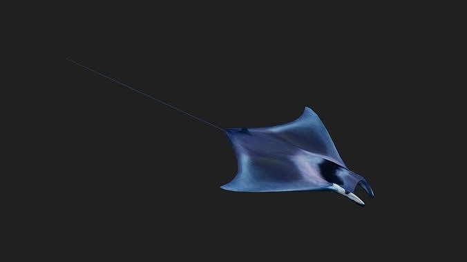 Devilfish Low-poly 3D model
